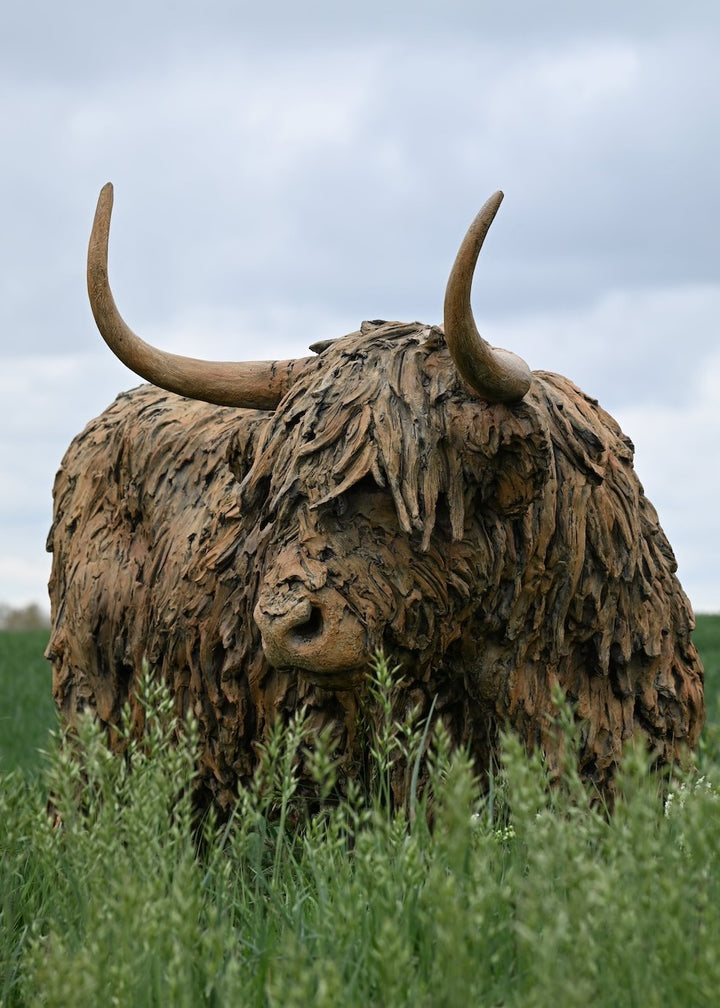 ‘Highland Cow: Life Size’ by Hamish Mackie, a life-size limited-edition bronze sculpture depicting a Scottish Highland cow standing in a grassy field. The sculpture features long, sweeping horns, a broad muzzle and a heavily textured, shaggy coat falling over the animal’s eyes. Finished in warm earthy brown bronze, the realistic wildlife sculpture captures the distinctive character and rugged appearance of the Highland breed.