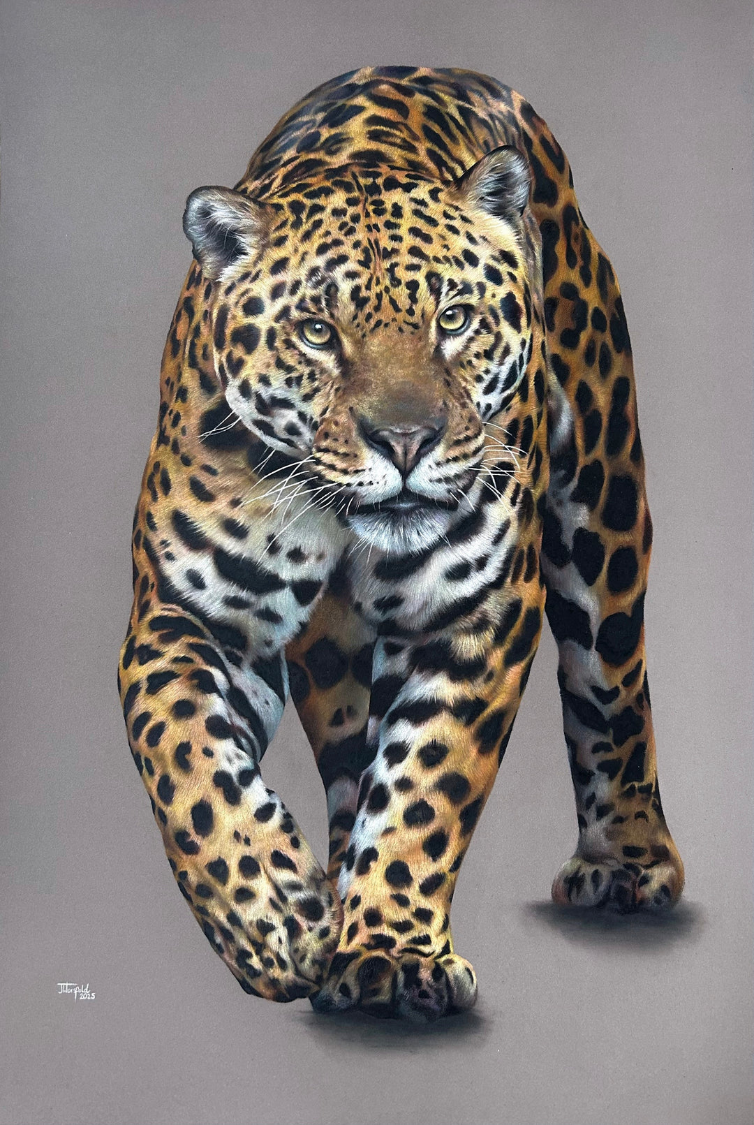 Realistic coloured pencil drawing of a walking jaguar on dark grey pastelmat board, showing intense gaze and detailed spotted fur.
