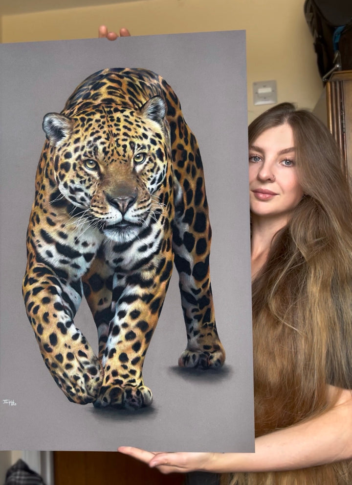 Realistic coloured pencil drawing of a walking jaguar on dark grey pastelmat board, showing intense gaze and detailed spotted fur with artist holding artwork.