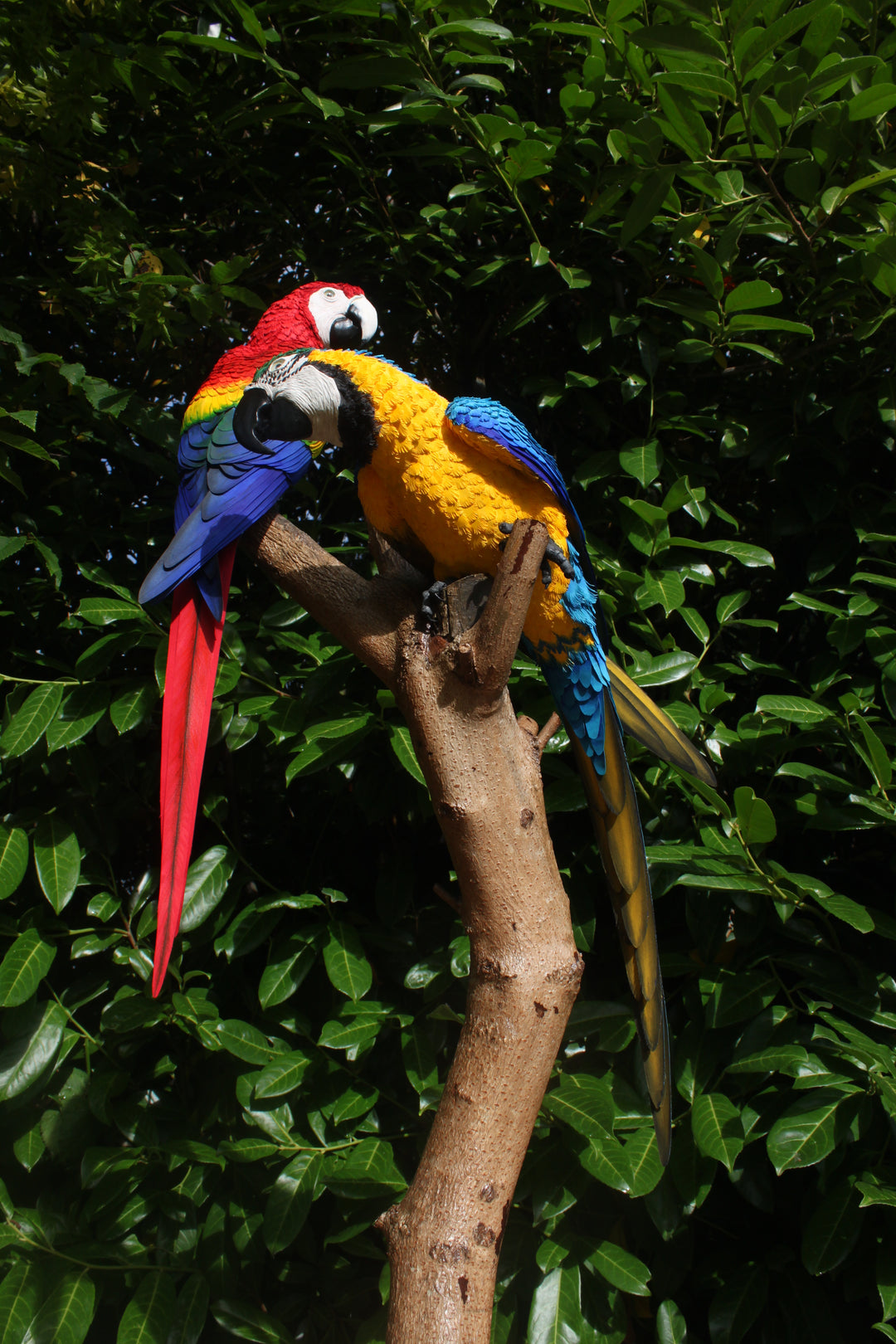 Two exquisitely lifelike macaw sculptures perched on a real wood branch — one in vivid scarlet red with blue and yellow accents, and the other in rich sky blue with golden yellow and green detailing — set against lush green foliage.