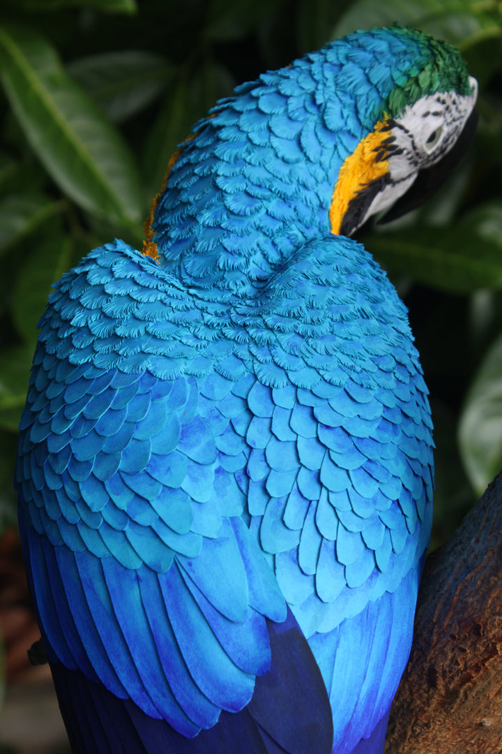 Two exquisitely lifelike macaw sculptures perched on a real wood branch — one in vivid scarlet red with blue and yellow accents, and the other in rich sky blue with golden yellow and green detailing — set against lush green foliage.