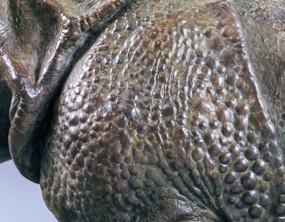 Large bronze Indian rhinoceros sculpture by Nick Bibby, showing armour-like skin folds, textured plates and powerful stance, finished in rich brown patina with subtle green tones on a polished stone plinth.