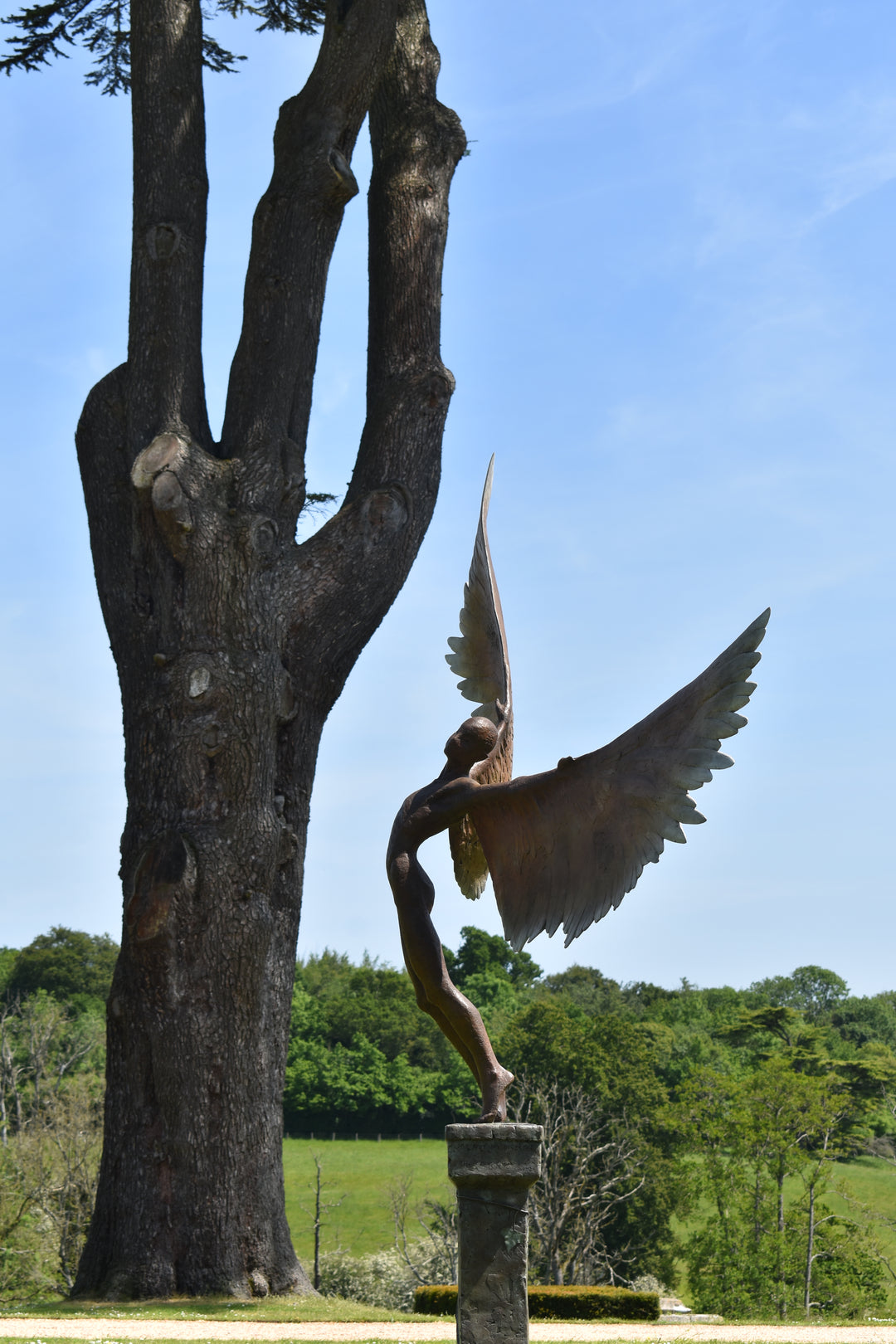 Icarus I — monumental bronze sculpture by Nicola Godden, depicting a stylised male figure with immense outstretched wings, leaning forward as if preparing for flight. Rich bronze patina with warm coppery browns fading into lighter golden tips across the feathered wings. Originally featured at the London 2012 Olympic Village and sold at Sotheby’s. Set outdoors against a clear blue sky and classical architectural backdrop.