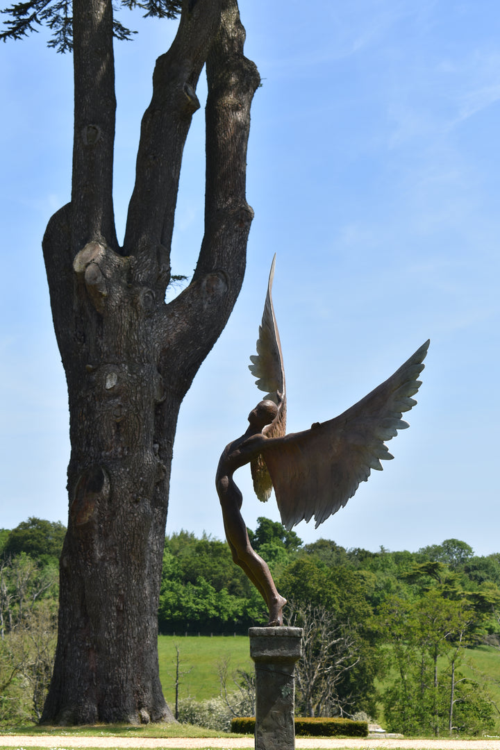 Icarus I — monumental bronze sculpture by Nicola Godden, depicting a stylised male figure with immense outstretched wings, leaning forward as if preparing for flight. Rich bronze patina with warm coppery browns fading into lighter golden tips across the feathered wings. Originally featured at the London 2012 Olympic Village and sold at Sotheby’s. Set outdoors against a clear blue sky and classical architectural backdrop.