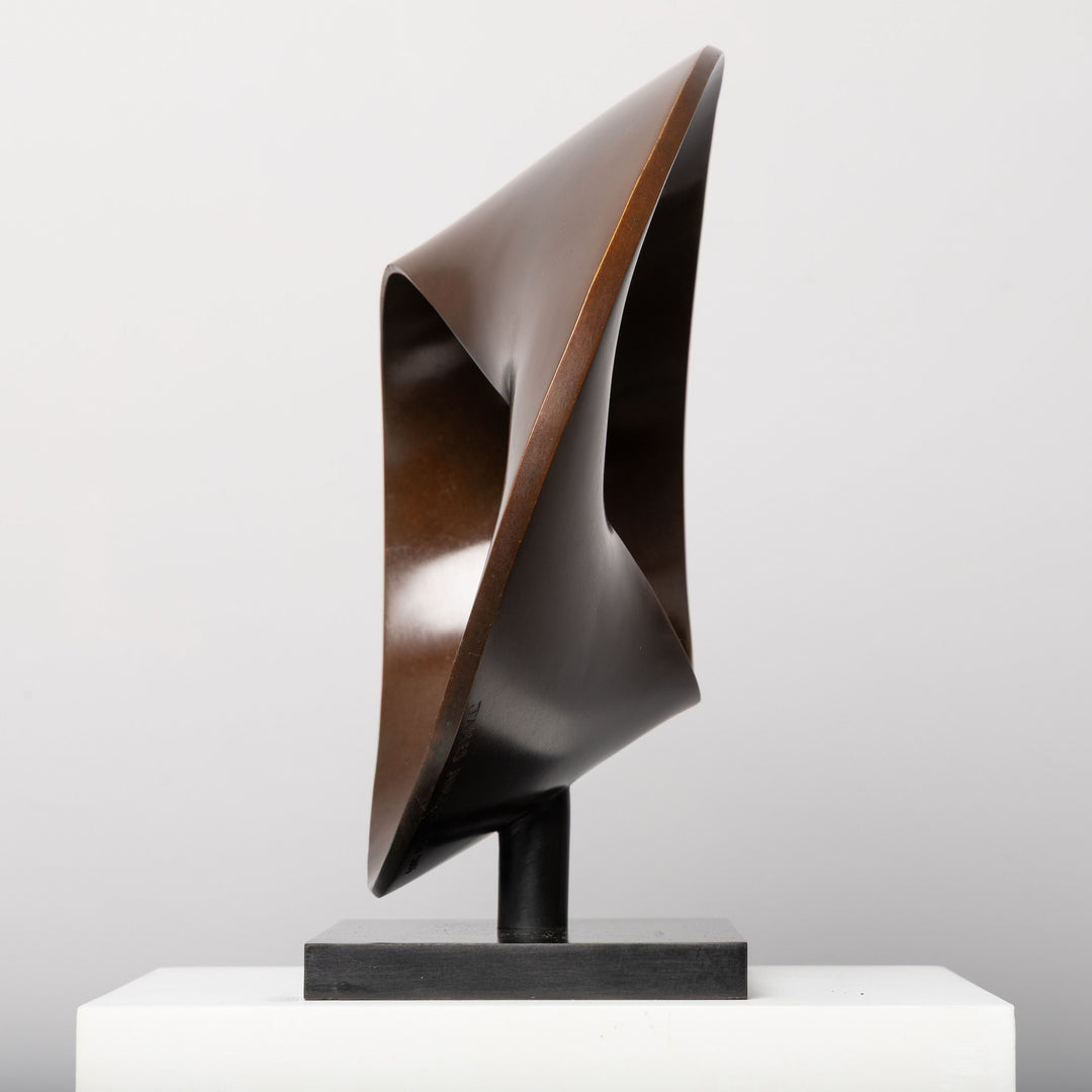 Patinated bronze Continuum sculpture by James Parker, formed as a flowing Möbius loop with a continuous twisting surface and crescent-like profile.