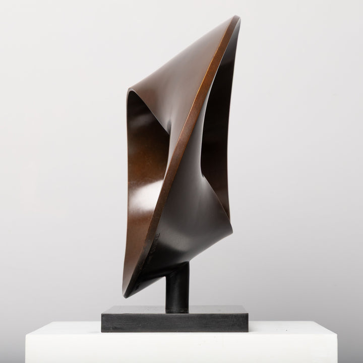 Patinated bronze Continuum sculpture by James Parker, formed as a flowing Möbius loop with a continuous twisting surface and crescent-like profile.