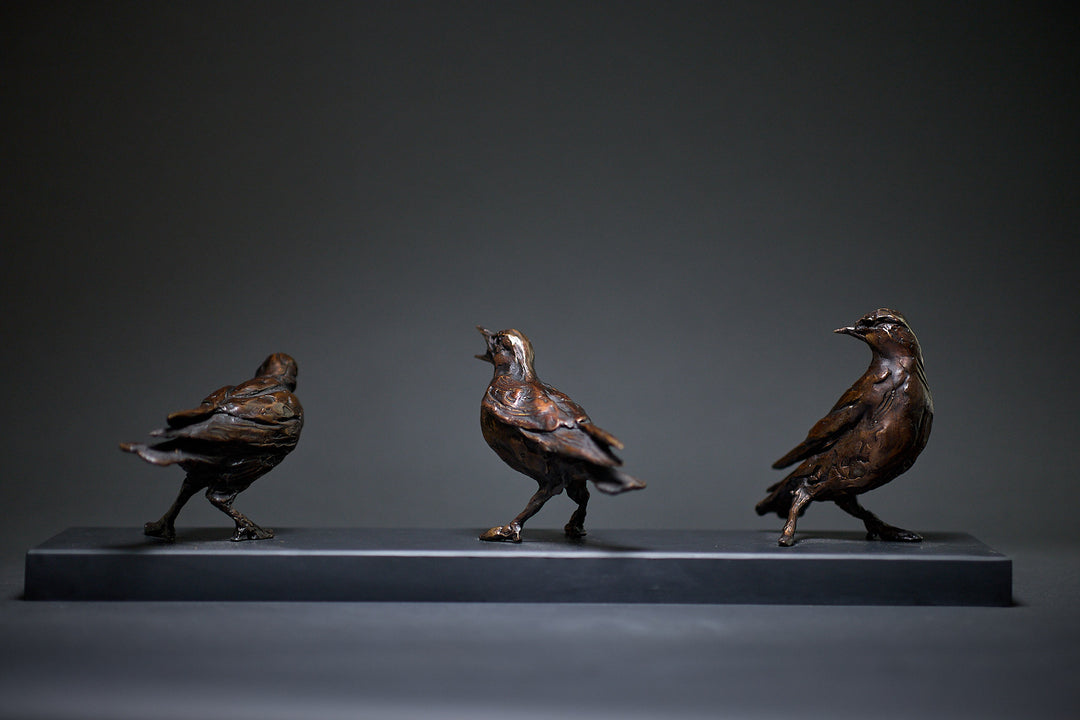 Jane Shaw Community Spirit bronze sculpture depicting a group of starlings perched along a ledge, each bird individually posed to suggest interaction, movement and communication. The figures vary subtly in stance - some alert, some mid-song - capturing the character and rhythm of urban bird life, with a naturalistic bronze finish that highlights feather texture and form against an architectural setting.