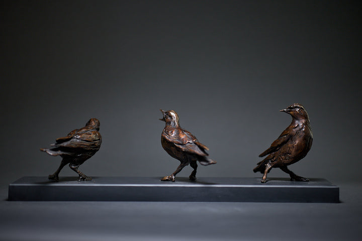 Jane Shaw Community Spirit bronze sculpture depicting a group of starlings perched along a ledge, each bird individually posed to suggest interaction, movement and communication. The figures vary subtly in stance - some alert, some mid-song - capturing the character and rhythm of urban bird life, with a naturalistic bronze finish that highlights feather texture and form against an architectural setting.