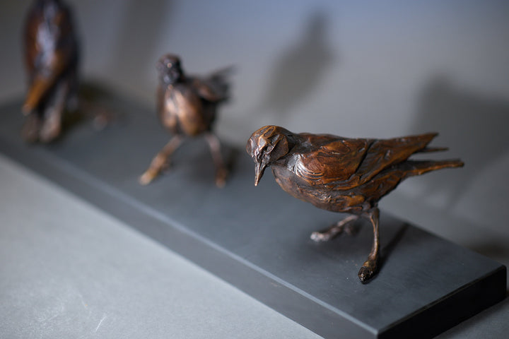 Jane Shaw Community Spirit bronze sculpture depicting a group of starlings perched along a ledge, each bird individually posed to suggest interaction, movement and communication. The figures vary subtly in stance - some alert, some mid-song - capturing the character and rhythm of urban bird life, with a naturalistic bronze finish that highlights feather texture and form against an architectural setting.