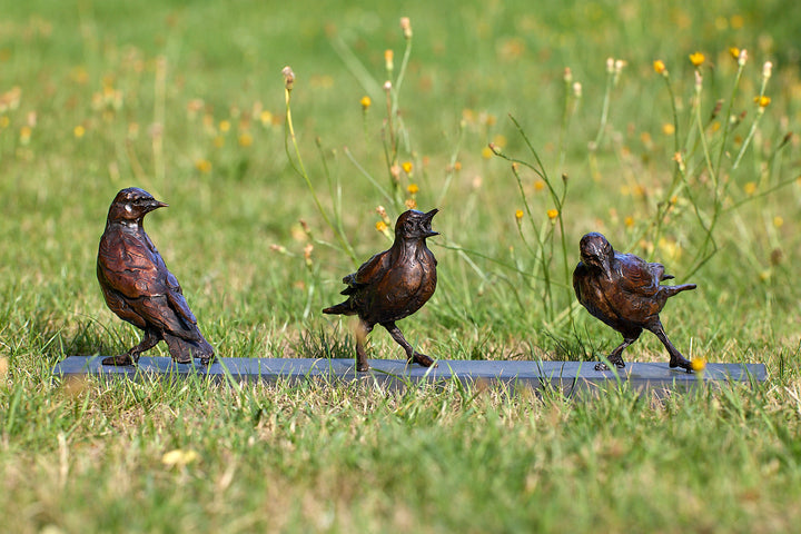 Jane Shaw Community Spirit bronze sculpture depicting a group of starlings perched along a ledge, each bird individually posed to suggest interaction, movement and communication. The figures vary subtly in stance - some alert, some mid-song - capturing the character and rhythm of urban bird life, with a naturalistic bronze finish that highlights feather texture and form against an architectural setting.