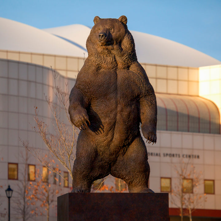 Large bronze head study of a Kodiak brown bear by Nick Bibby, showing powerful form, dense textured fur and rich brown patina, mounted on a tall bronze plinth with mottled green and earthy tones.
