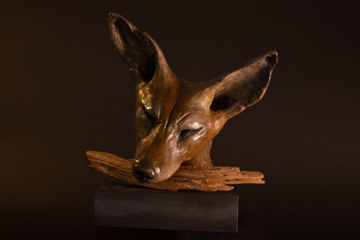 Lean On Me wild dog bronze sculpture by Min Reid, expressive resting wild dog head leaning on a natural wood branch with eyes closed, rich warm bronze patina mounted on a dark plinth against a deep shadowed background
