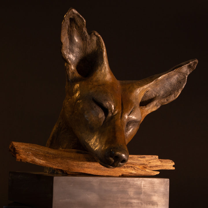 Lean On Me wild dog bronze sculpture by Min Reid, expressive resting wild dog head leaning on a natural wood branch with eyes closed, rich warm bronze patina mounted on a dark plinth against a deep shadowed background