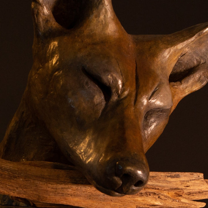 Lean On Me wild dog bronze sculpture by Min Reid, expressive resting wild dog head leaning on a natural wood branch with eyes closed, rich warm bronze patina mounted on a dark plinth against a deep shadowed background