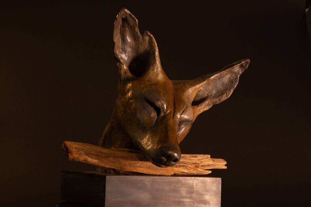 Lean On Me wild dog bronze sculpture by Min Reid, expressive resting wild dog head leaning on a natural wood branch with eyes closed, rich warm bronze patina mounted on a dark plinth against a deep shadowed background