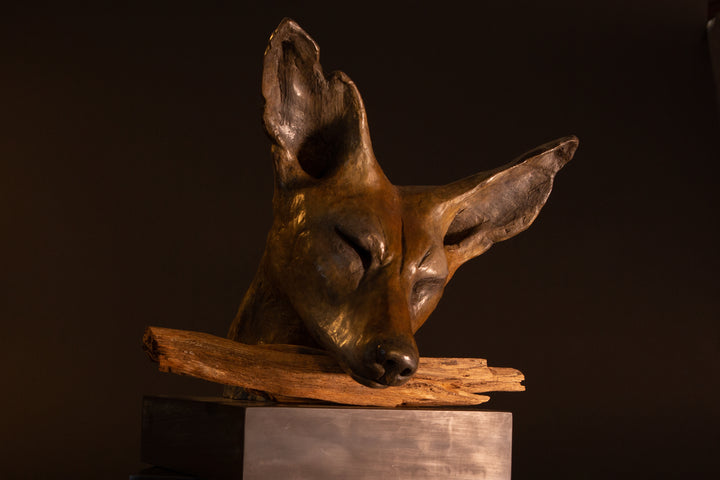 Lean On Me wild dog bronze sculpture by Min Reid, expressive resting wild dog head leaning on a natural wood branch with eyes closed, rich warm bronze patina mounted on a dark plinth against a deep shadowed background