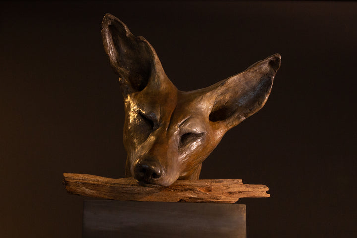 Lean On Me wild dog bronze sculpture by Min Reid, expressive resting wild dog head leaning on a natural wood branch with eyes closed, rich warm bronze patina mounted on a dark plinth against a deep shadowed background