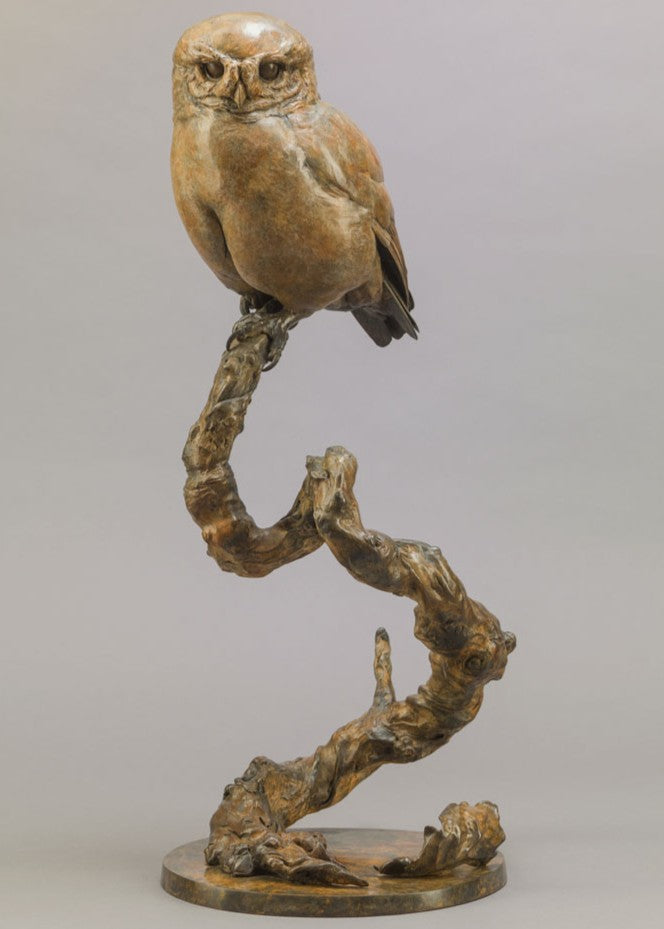 Life-size bronze of a Little Owl by Nick Bibby, perched alertly on a twisting bronze branch, with intricate feather textures and a warm multi-tonal patina that highlights the bird’s focused, characterful presence.