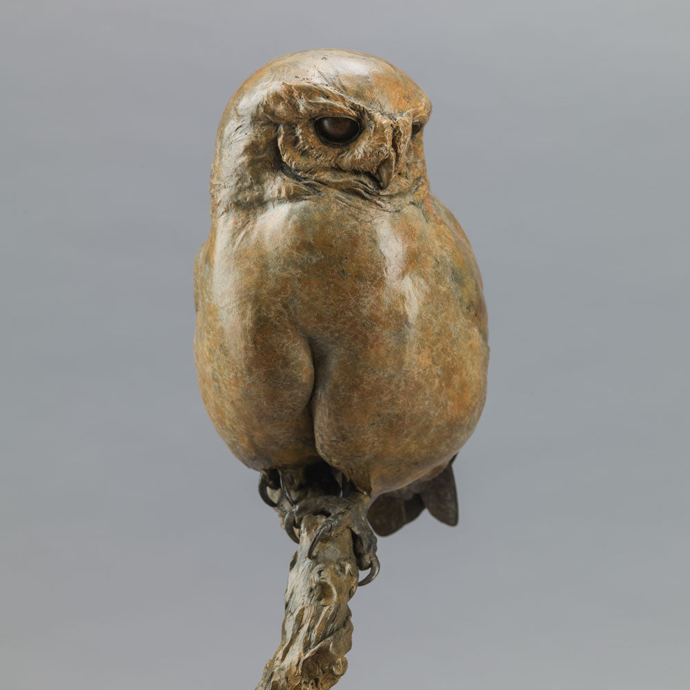 Life-size bronze of a Little Owl by Nick Bibby, perched alertly on a twisting bronze branch, with intricate feather textures and a warm multi-tonal patina that highlights the bird’s focused, characterful presence.