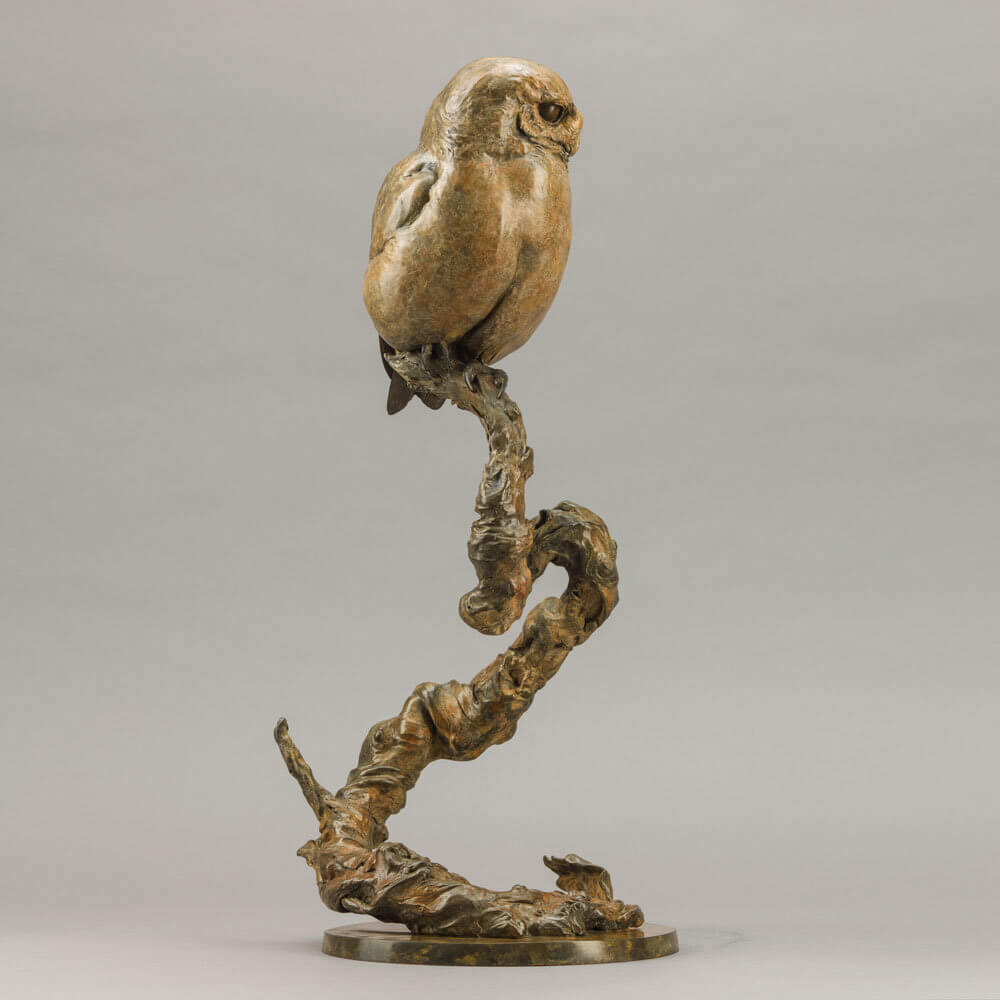 Life-size bronze of a Little Owl by Nick Bibby, perched alertly on a twisting bronze branch, with intricate feather textures and a warm multi-tonal patina that highlights the bird’s focused, characterful presence.