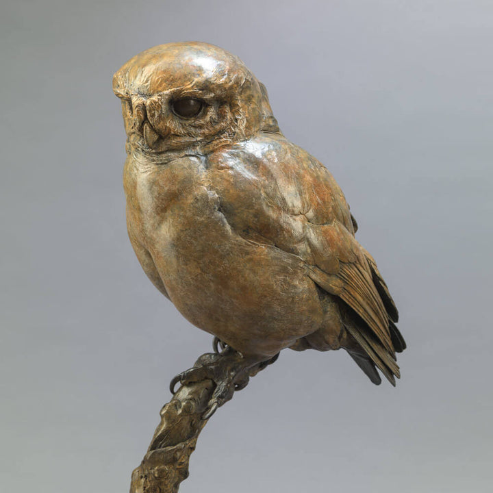 Life-size bronze of a Little Owl by Nick Bibby, perched alertly on a twisting bronze branch, with intricate feather textures and a warm multi-tonal patina that highlights the bird’s focused, characterful presence.