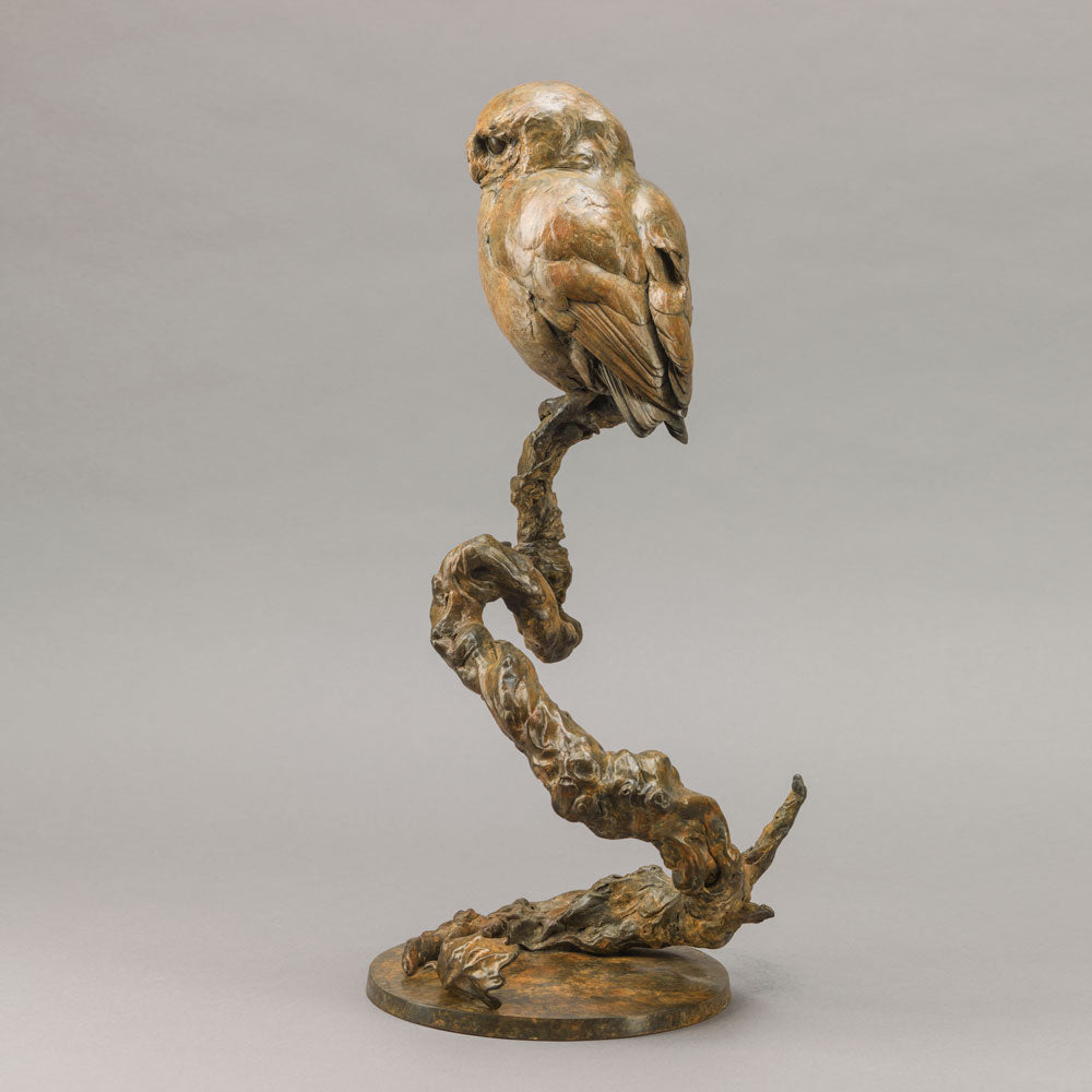 Life-size bronze of a Little Owl by Nick Bibby, perched alertly on a twisting bronze branch, with intricate feather textures and a warm multi-tonal patina that highlights the bird’s focused, characterful presence.