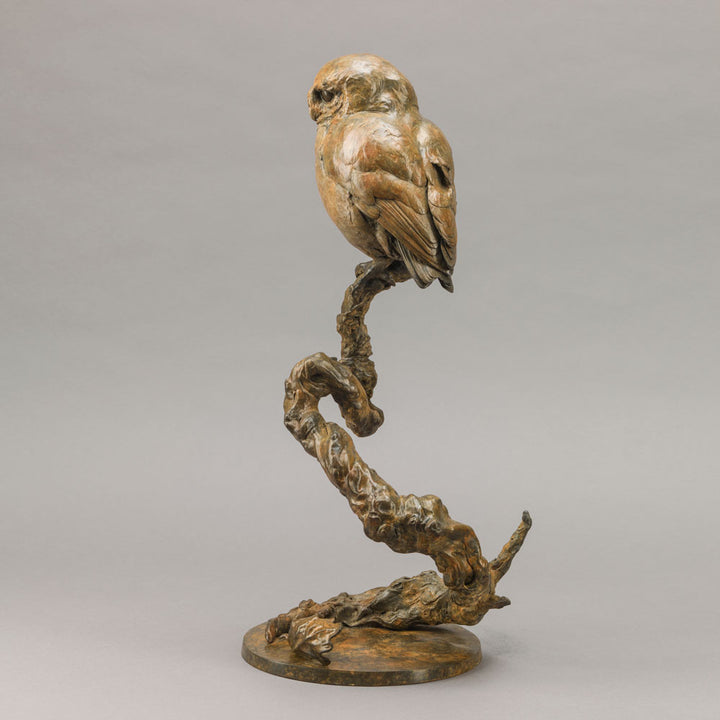 Life-size bronze of a Little Owl by Nick Bibby, perched alertly on a twisting bronze branch, with intricate feather textures and a warm multi-tonal patina that highlights the bird’s focused, characterful presence.