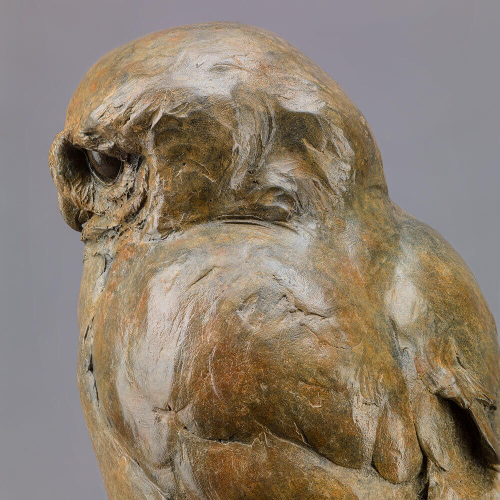 Life-size bronze of a Little Owl by Nick Bibby, perched alertly on a twisting bronze branch, with intricate feather textures and a warm multi-tonal patina that highlights the bird’s focused, characterful presence.