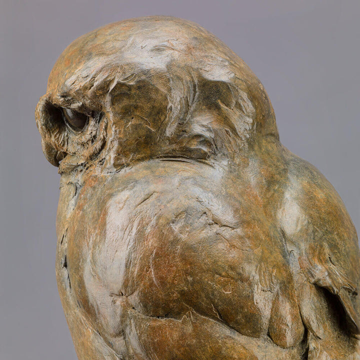 Life-size bronze of a Little Owl by Nick Bibby, perched alertly on a twisting bronze branch, with intricate feather textures and a warm multi-tonal patina that highlights the bird’s focused, characterful presence.