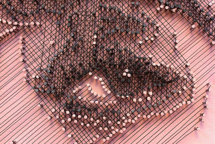 Portrait of Lady Gaga constructed from fine copper wire tensioned around numerous small nails on a painted board, with layered linear wiring forming facial features, hair and hat through tonal variation, depth and shadow across a textured pink-toned surface.