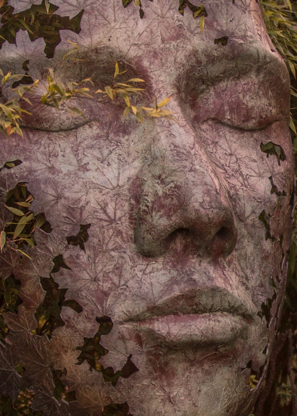 Simon Gudgeon bronze sculpture Leaf Spirit featuring a serene monumental face formed with organic leaf patterns displayed within a landscaped garden and woodland setting.