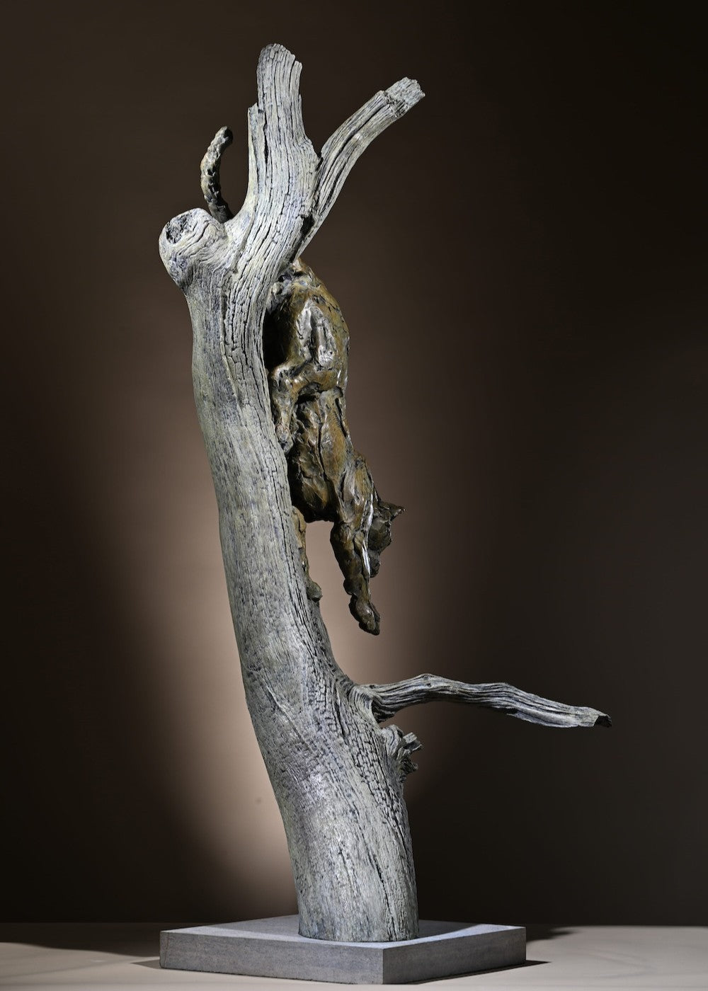 ‘Leopard Climbing Down a Tree’ by Hamish Mackie, a limited-edition bronze wildlife sculpture depicting an African leopard descending headfirst down a tall, weathered tree trunk. The leopard's muscular body, extended forelegs and curved tail capture the animal's extraordinary agility and balance. Finished in natural earthy bronze tones, the sculpture features a highly textured tree trunk mounted on a rectangular Purbeck limestone base, inspired by the artist's wildlife observations in the Serengeti.