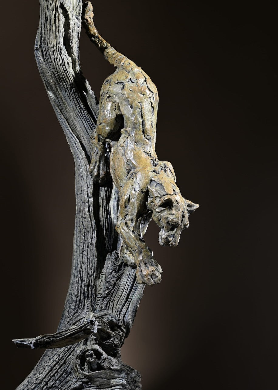 ‘Leopard Climbing Down a Tree’ by Hamish Mackie, a limited-edition bronze wildlife sculpture depicting an African leopard descending headfirst down a tall, weathered tree trunk. The leopard's muscular body, extended forelegs and curved tail capture the animal's extraordinary agility and balance. Finished in natural earthy bronze tones, the sculpture features a highly textured tree trunk mounted on a rectangular Purbeck limestone base, inspired by the artist's wildlife observations in the Serengeti.