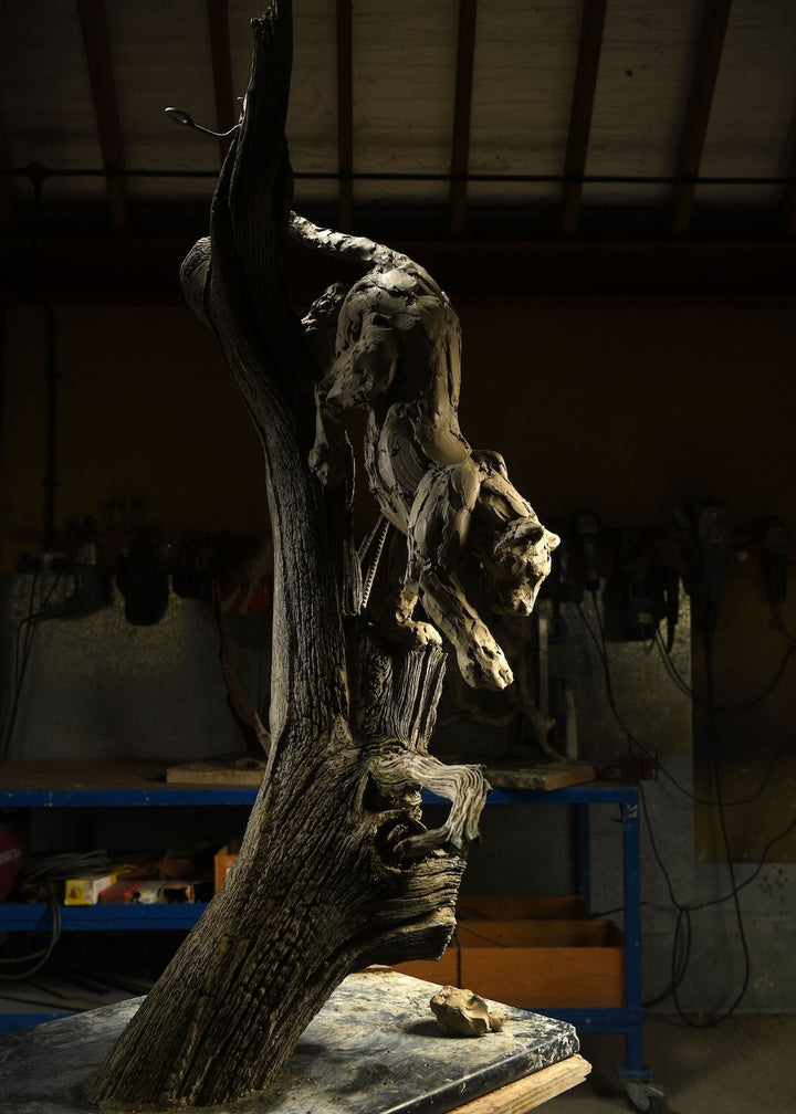 ‘Leopard Climbing Down a Tree’ by Hamish Mackie, a limited-edition bronze wildlife sculpture depicting an African leopard descending headfirst down a tall, weathered tree trunk. The leopard's muscular body, extended forelegs and curved tail capture the animal's extraordinary agility and balance. Finished in natural earthy bronze tones, the sculpture features a highly textured tree trunk mounted on a rectangular Purbeck limestone base, inspired by the artist's wildlife observations in the Serengeti.