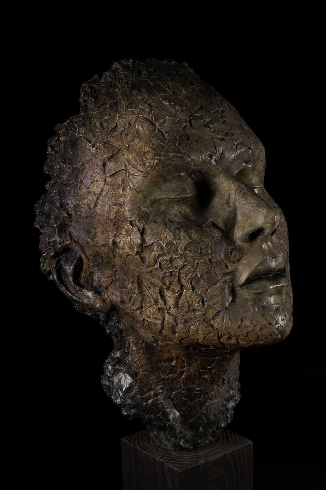 Contemplative bronze sculpture of a human face with closed eyes, tilted gently upward as if listening to the sounds of the forest. The surface is intricately detailed with embossed leaves and natural textures, merging human and woodland forms. With a rich patinated finish and mounted on a dark wooden plinth, this serene head sculpture symbolises quiet connection to nature, tree communication, and environmental awareness.