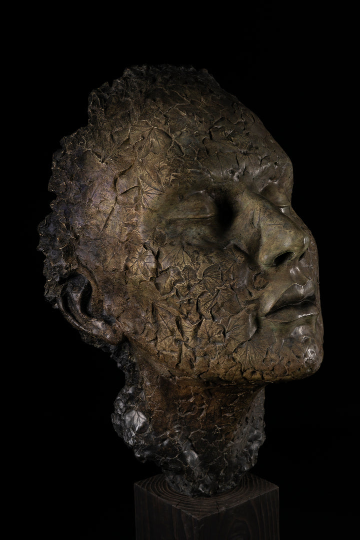 Contemplative bronze sculpture of a human face with closed eyes, tilted gently upward as if listening to the sounds of the forest. The surface is intricately detailed with embossed leaves and natural textures, merging human and woodland forms. With a rich patinated finish and mounted on a dark wooden plinth, this serene head sculpture symbolises quiet connection to nature, tree communication, and environmental awareness.