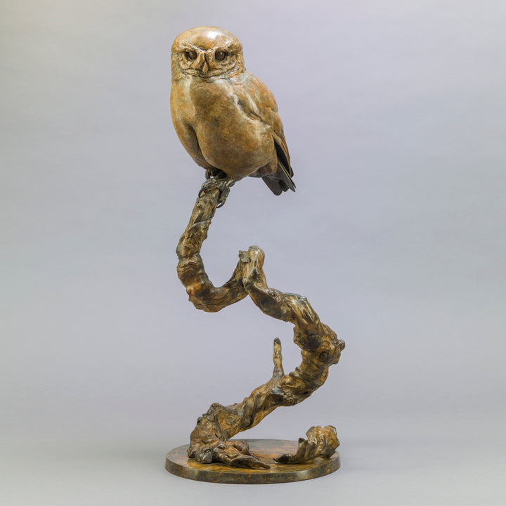 Life-size bronze of a Little Owl by Nick Bibby, perched alertly on a twisting bronze branch, with intricate feather textures and a warm multi-tonal patina that highlights the bird’s focused, characterful presence.
