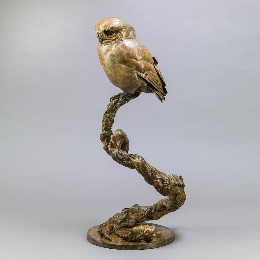 Life-size bronze of a Little Owl by Nick Bibby, perched alertly on a twisting bronze branch, with intricate feather textures and a warm multi-tonal patina that highlights the bird’s focused, characterful presence.