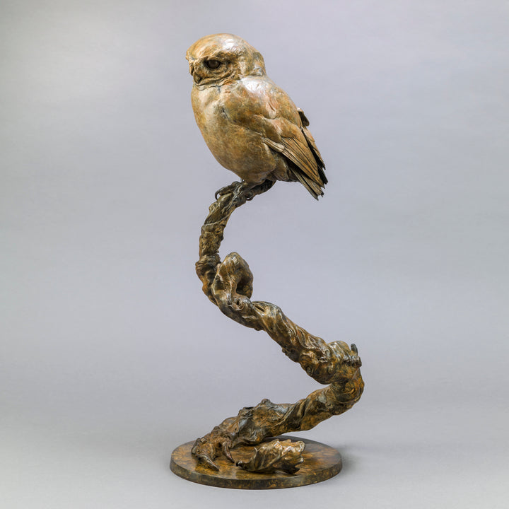 Life-size bronze of a Little Owl by Nick Bibby, perched alertly on a twisting bronze branch, with intricate feather textures and a warm multi-tonal patina that highlights the bird’s focused, characterful presence.