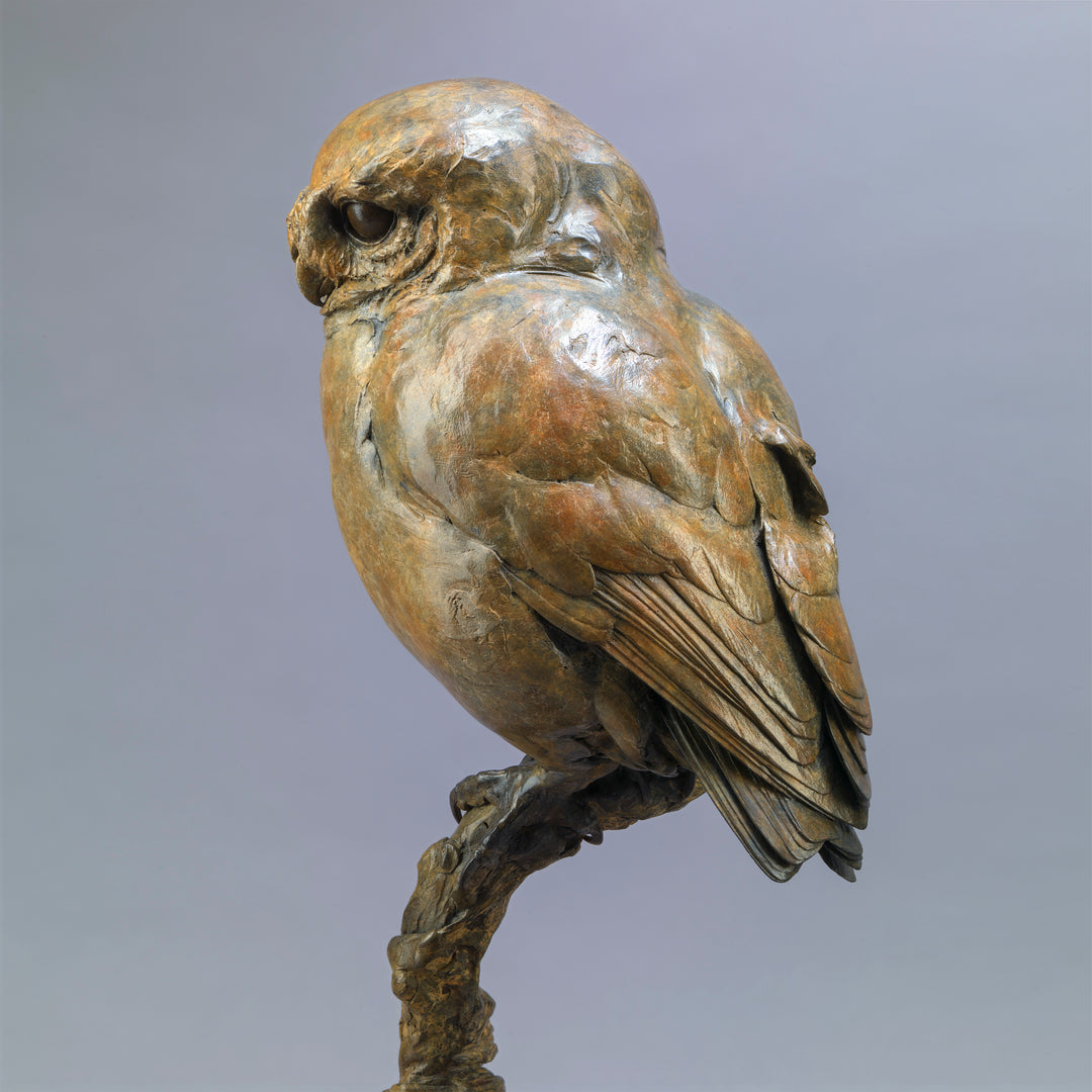 Life-size bronze of a Little Owl by Nick Bibby, perched alertly on a twisting bronze branch, with intricate feather textures and a warm multi-tonal patina that highlights the bird’s focused, characterful presence.