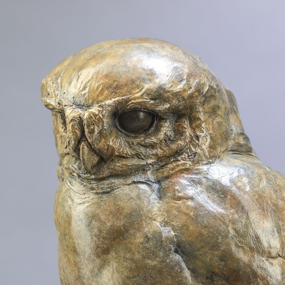 Life-size bronze of a Little Owl by Nick Bibby, perched alertly on a twisting bronze branch, with intricate feather textures and a warm multi-tonal patina that highlights the bird’s focused, characterful presence.