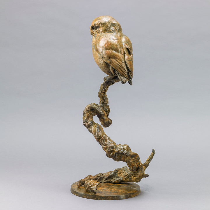 Life-size bronze of a Little Owl by Nick Bibby, perched alertly on a twisting bronze branch, with intricate feather textures and a warm multi-tonal patina that highlights the bird’s focused, characterful presence.