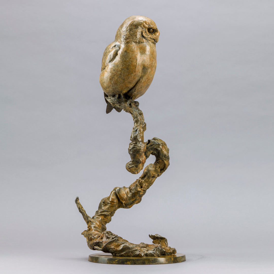 Life-size bronze of a Little Owl by Nick Bibby, perched alertly on a twisting bronze branch, with intricate feather textures and a warm multi-tonal patina that highlights the bird’s focused, characterful presence.