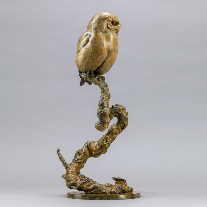 Life-size bronze of a Little Owl by Nick Bibby, perched alertly on a twisting bronze branch, with intricate feather textures and a warm multi-tonal patina that highlights the bird’s focused, characterful presence.