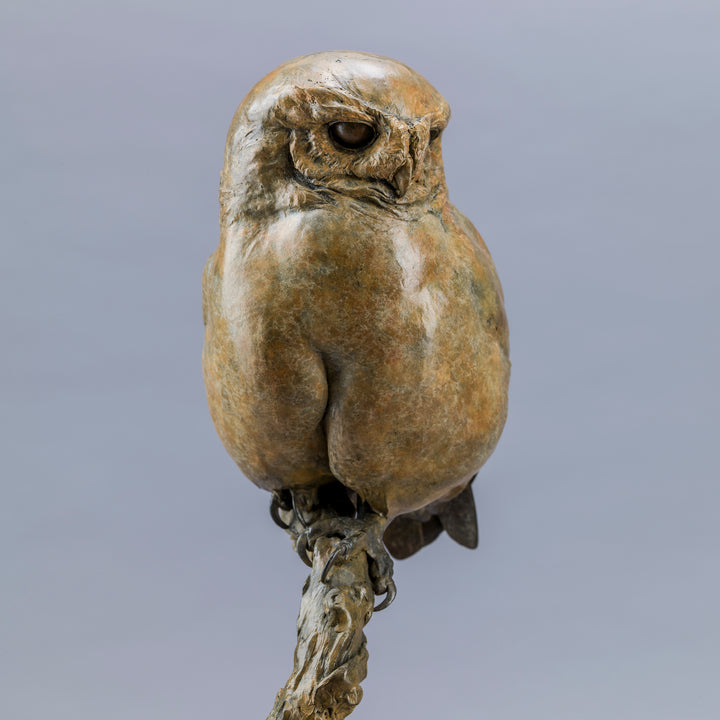 Life-size bronze of a Little Owl by Nick Bibby, perched alertly on a twisting bronze branch, with intricate feather textures and a warm multi-tonal patina that highlights the bird’s focused, characterful presence.