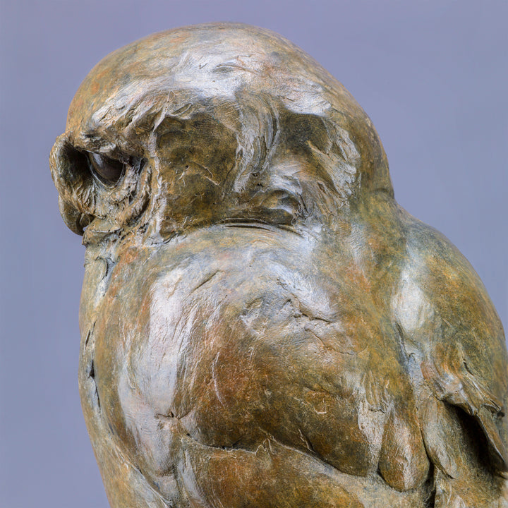 Life-size bronze of a Little Owl by Nick Bibby, perched alertly on a twisting bronze branch, with intricate feather textures and a warm multi-tonal patina that highlights the bird’s focused, characterful presence.