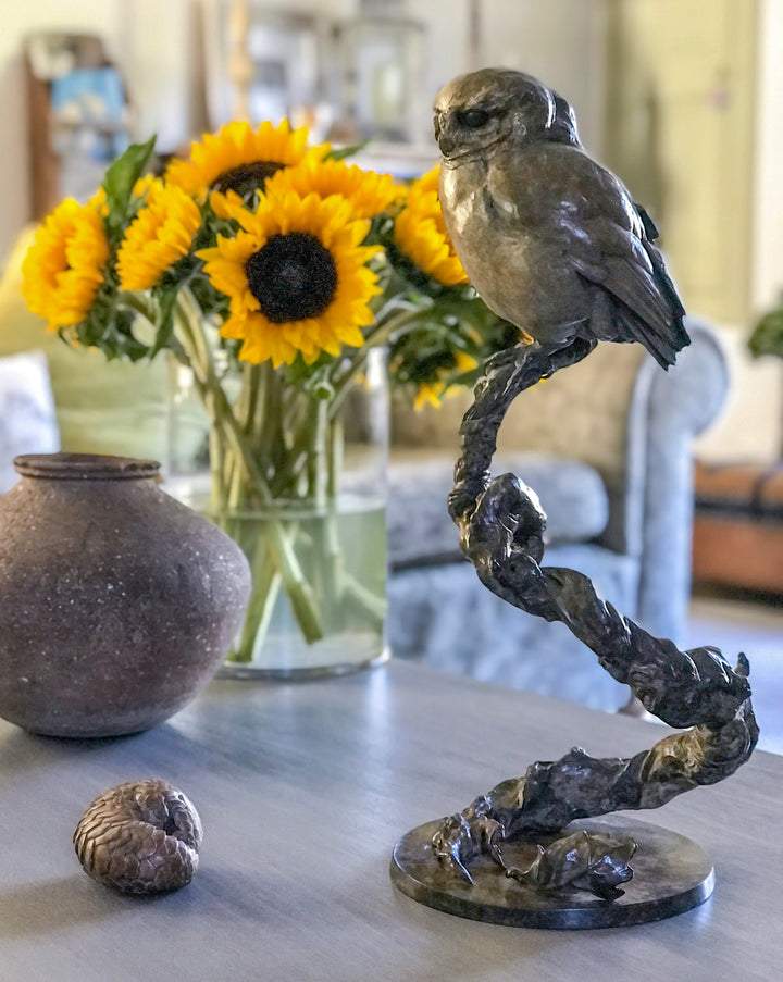 Life-size bronze of a Little Owl by Nick Bibby, perched alertly on a twisting bronze branch, with intricate feather textures and a warm multi-tonal patina that highlights the bird’s focused, characterful presence.