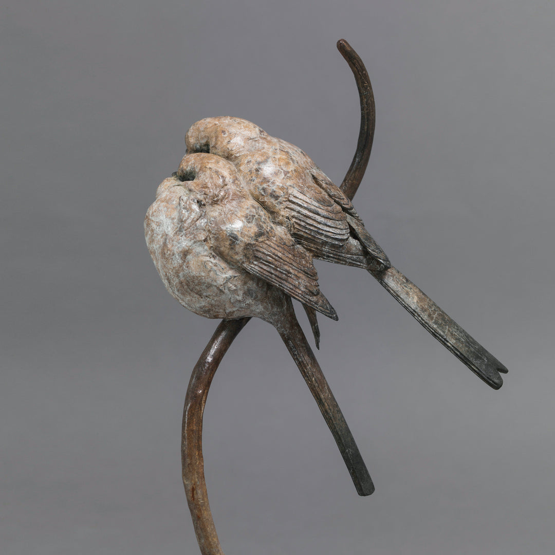 Bronze sculpture of two life-size long-tailed tits nestled closely together on a gently curving branch, their rounded bodies touching as they perch in balance. The birds’ finely textured forms show soft feather detail and subtle patina variations, conveying intimacy, warmth, and quiet stillness against a neutral studio background.