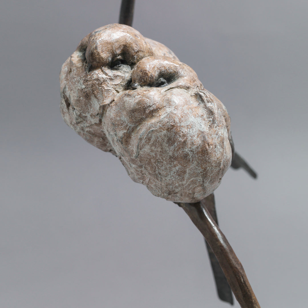 Bronze sculpture of two life-size long-tailed tits nestled closely together on a gently curving branch, their rounded bodies touching as they perch in balance. The birds’ finely textured forms show soft feather detail and subtle patina variations, conveying intimacy, warmth, and quiet stillness against a neutral studio background.