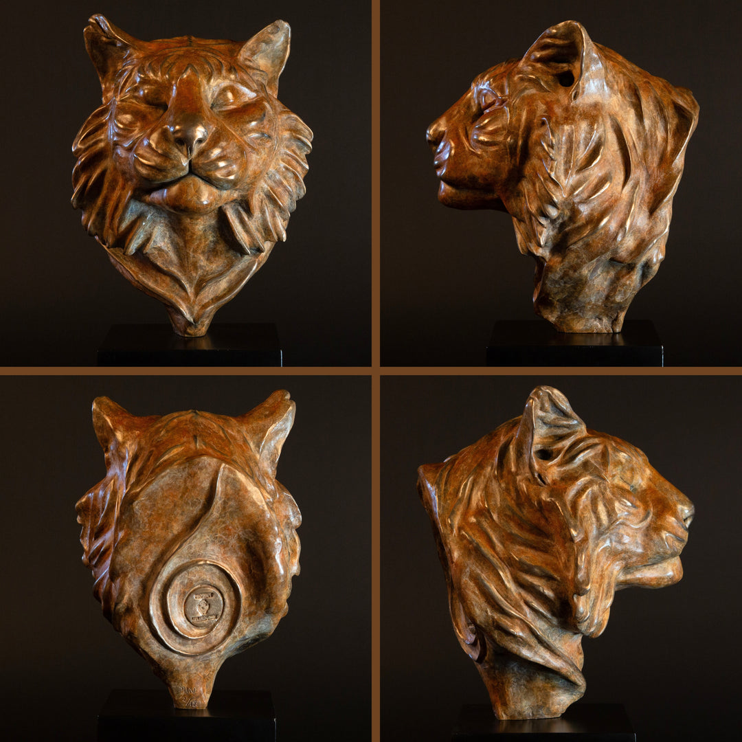 Melindungi Puna Sumatran Tiger bronze sculpture by Min Reid, serene tiger head portrait with closed eyes and flowing fur detail in warm golden bronze tones mounted on a black plinth against a dark background